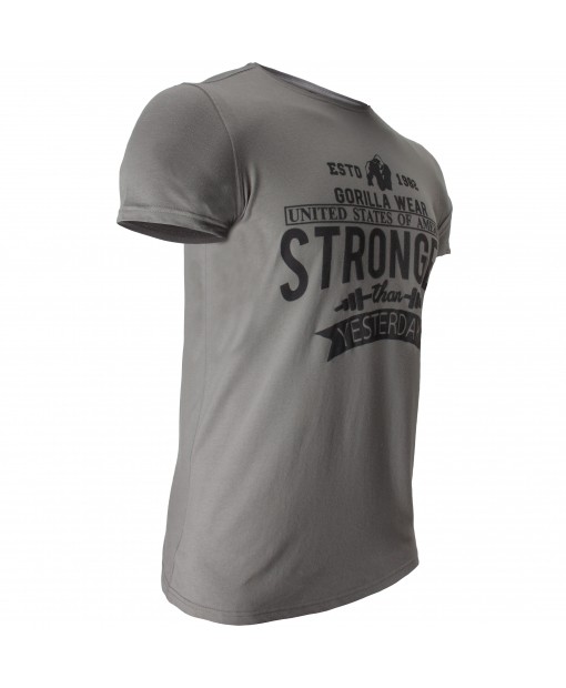 Футболка Hobbs - Gray