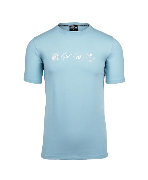 Swanton T-Shirt - Blue