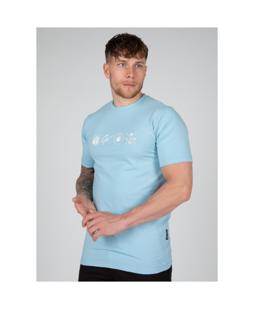 Swanton T-Shirt - Blue