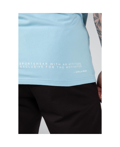 Swanton T-Shirt - Blue