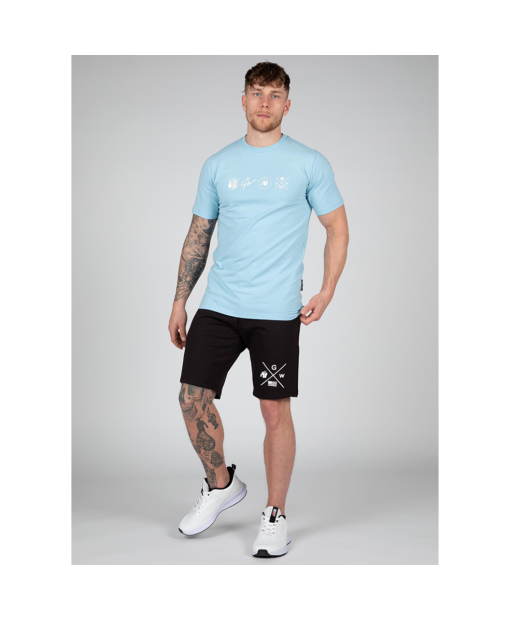 Swanton T-Shirt - Blue