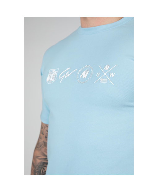 Swanton T-Shirt - Blue