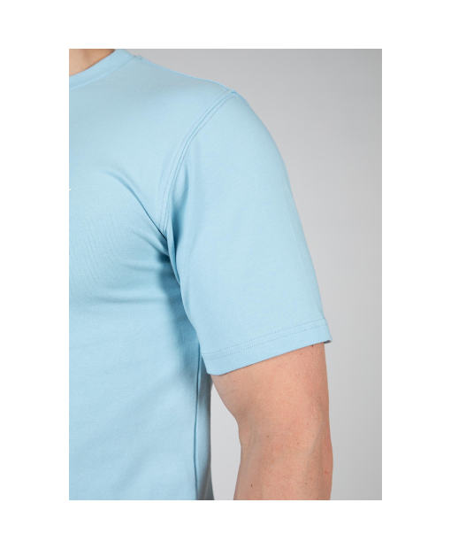 Swanton T-Shirt - Blue