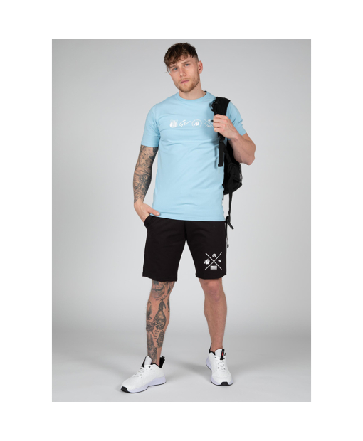 Swanton T-Shirt - Blue