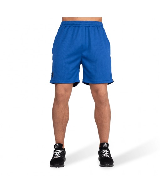 Шорты Reydon Mesh Shorts  Blue