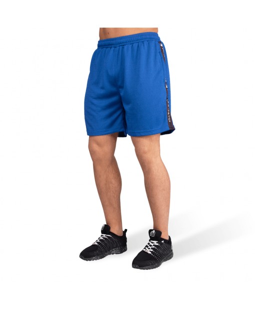 Шорты Reydon Mesh Shorts  Blue