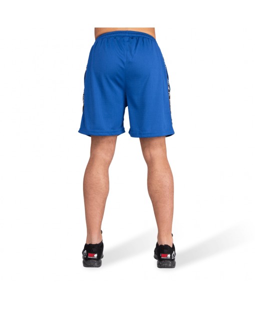Шорты Reydon Mesh Shorts  Blue