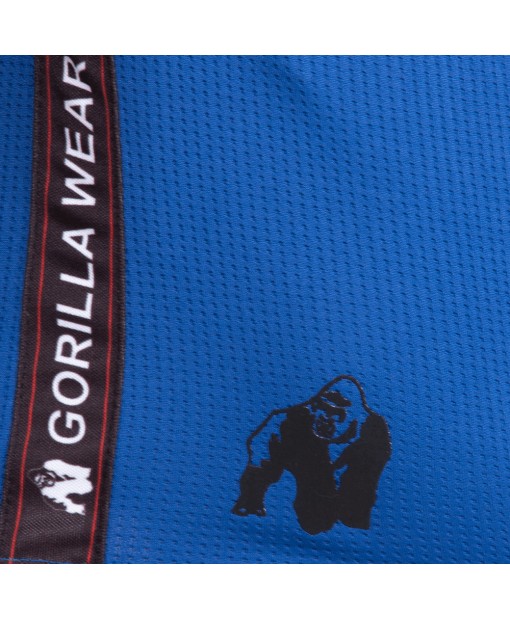 Шорты Reydon Mesh Shorts  Blue