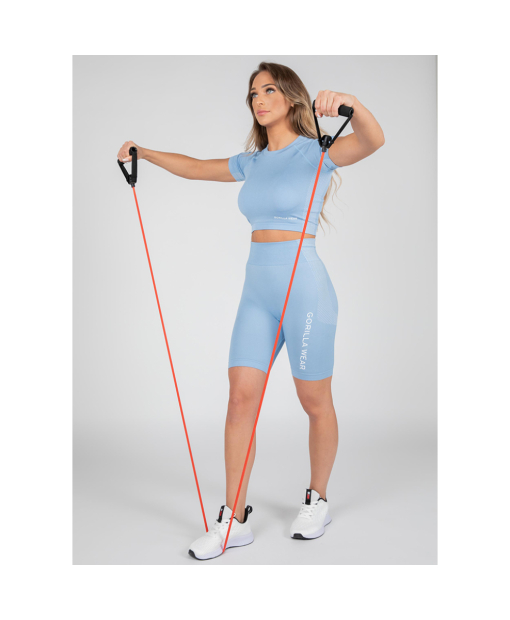 Selah Seamless Crop Top  Light Blue