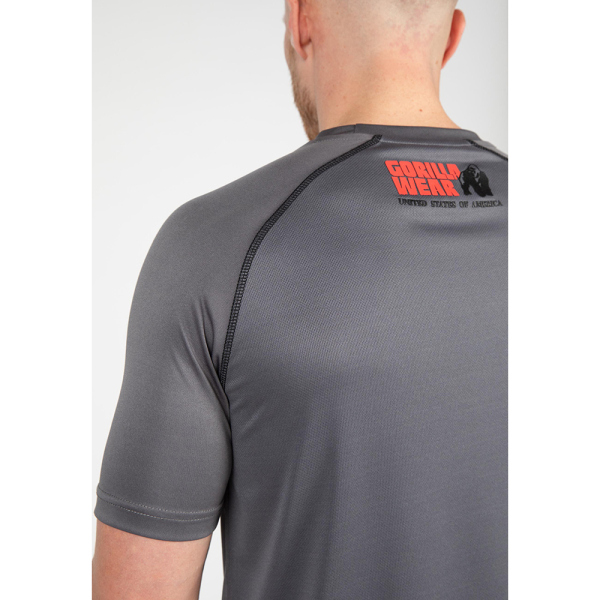 Performance T-Shirt  Gray