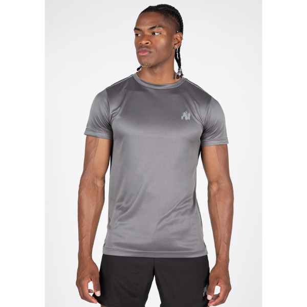 Washington T-Shirt Gray