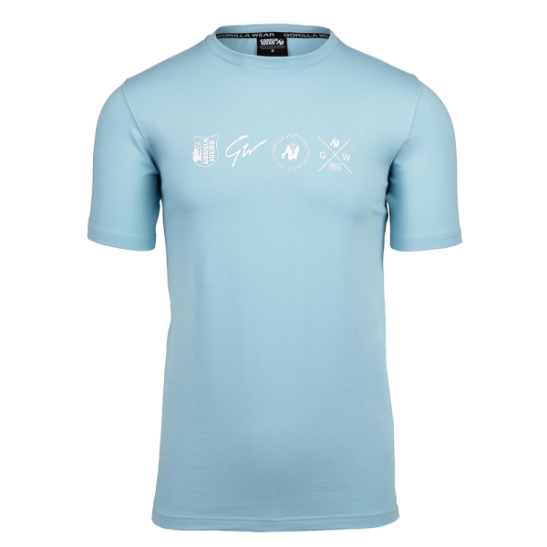 Swanton T-Shirt - Blue