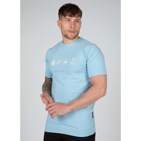 Swanton T-Shirt - Blue