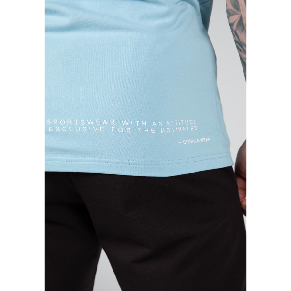 Swanton T-Shirt - Blue