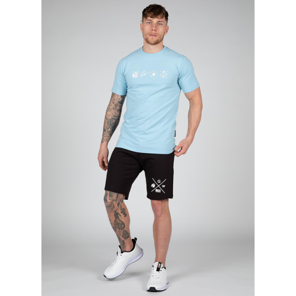 Swanton T-Shirt - Blue