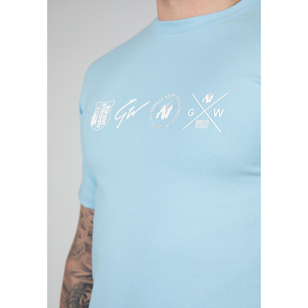 Swanton T-Shirt - Blue