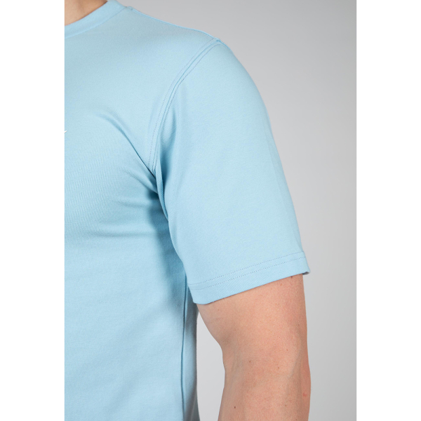 Swanton T-Shirt - Blue