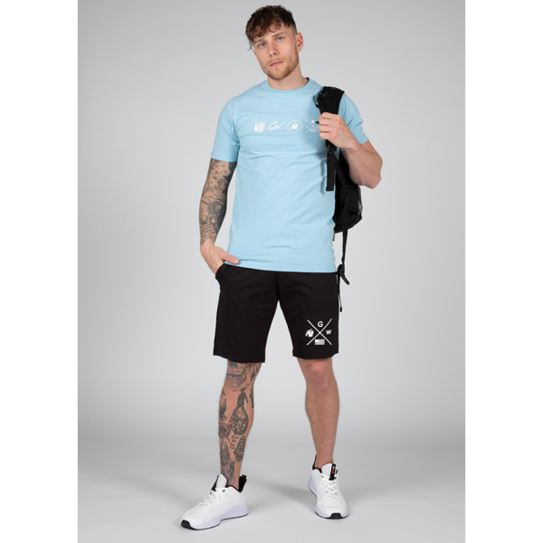 Swanton T-Shirt - Blue