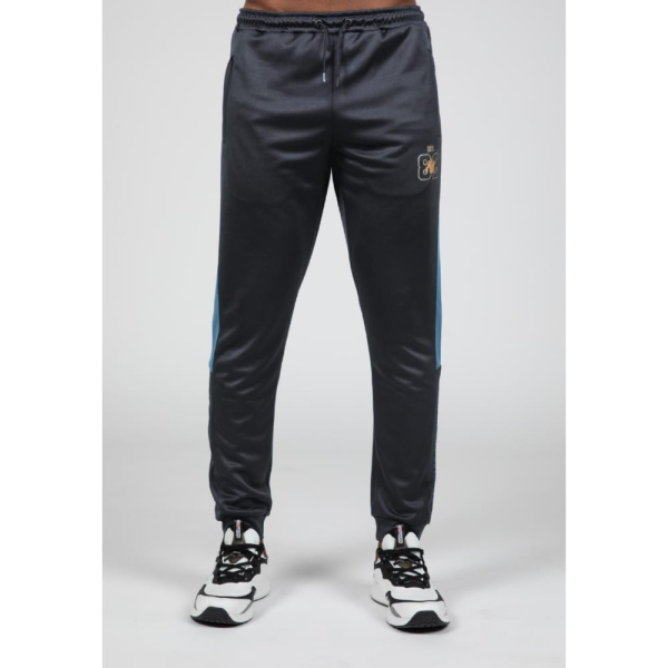 Штани Devon Training Pants Gray/Blue3